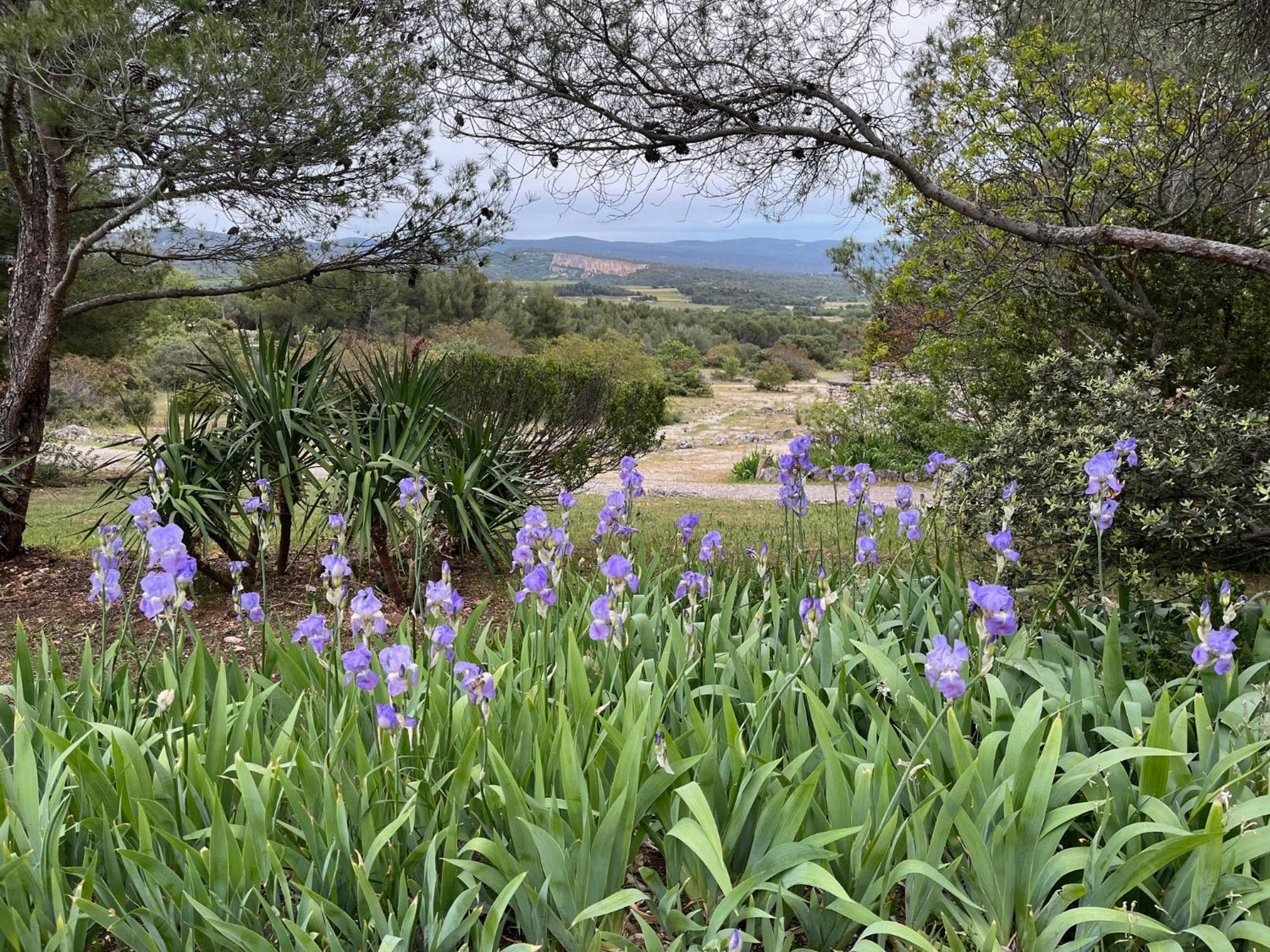 Lovely Views In Secret Provence Joucas Exterior foto