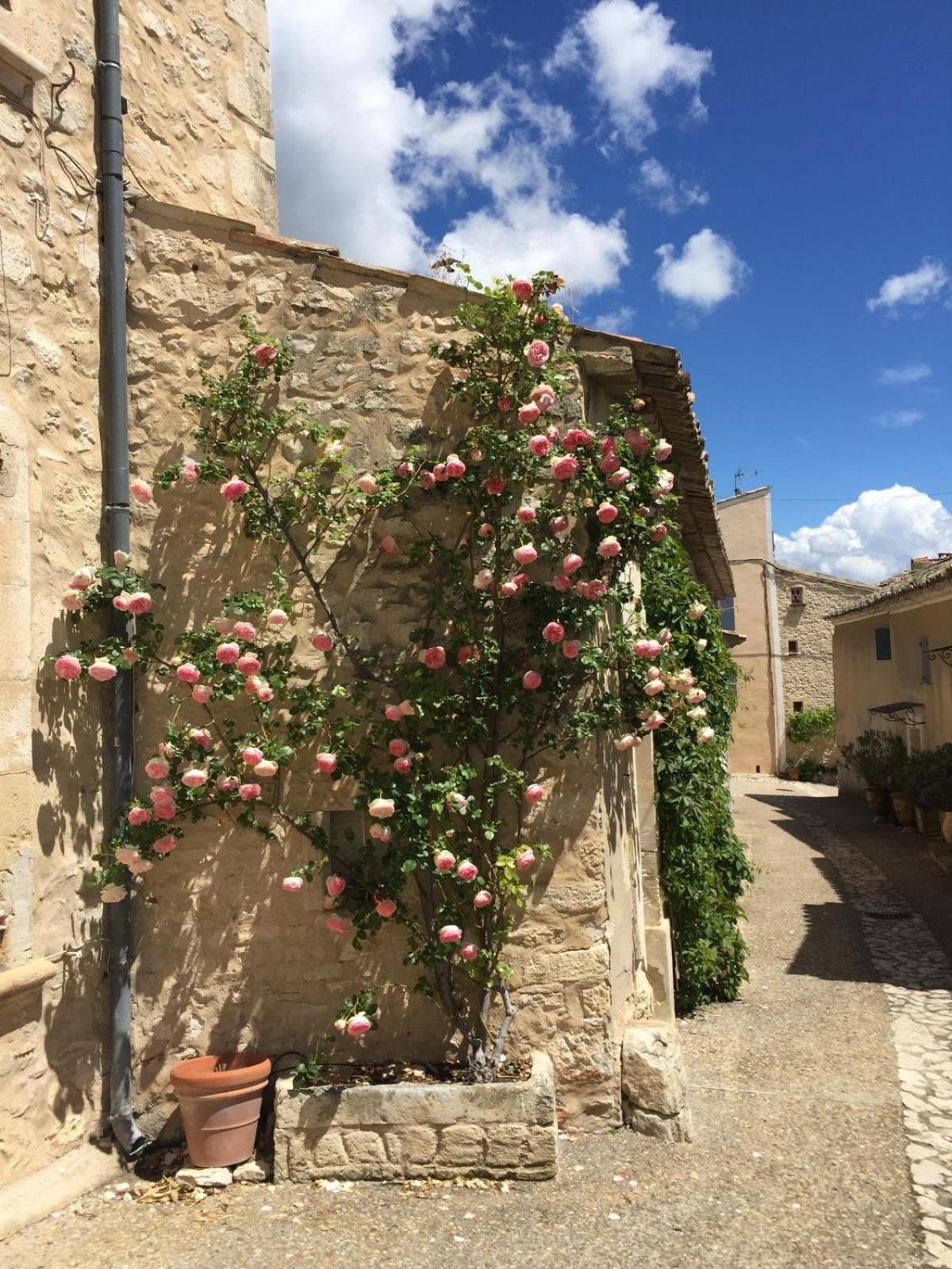 Lovely Views In Secret Provence Joucas Exterior foto